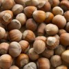 Hazelnuts