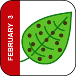 February 3 Icon