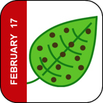 February 17 Icon