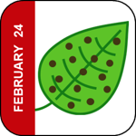 February 24 Icon