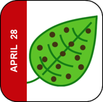 April 28 Icon