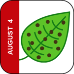 August 4 Icon