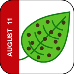 August 11 Icon