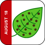 August 18 Icon