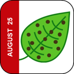 August 25 Icon