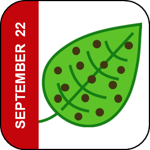 September 22 Icon