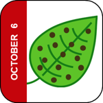 October 6 Icon