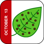 October 13 Icon