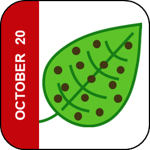 October20 Icon