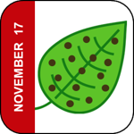 November 17 Icon