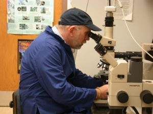 Diagnosing a Plant Disease at the Microscope