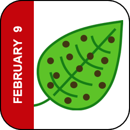 February 9 Icon