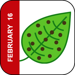 February 16 Icon