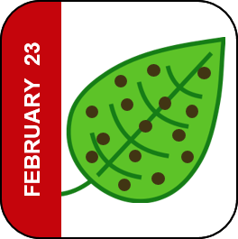 February 23 Icon