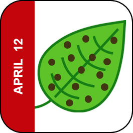 April 12 Icon