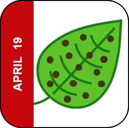 April 19 Icon