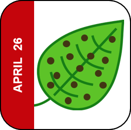 April 26 Icon