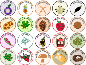 Sample Plant Disease Medallions